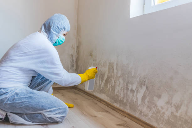 Licensed Mold Inspection service in Cherry Hill, NJ - WQB Mold Removal