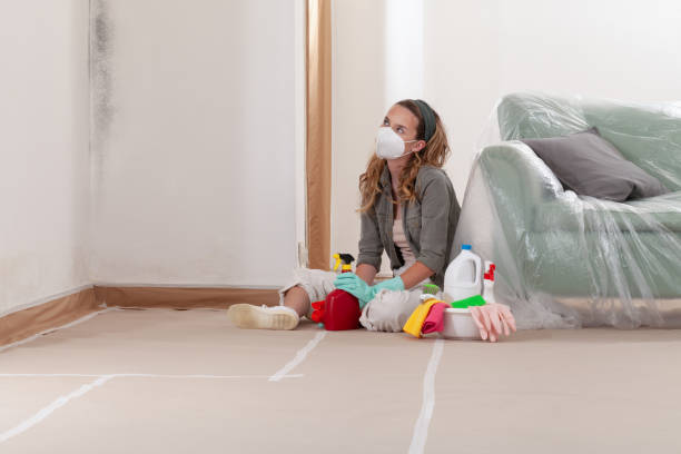 Reliable Mold Inspection contractor in Cherry Hill, NJ by WQB Mold Removal